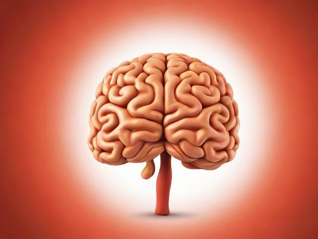 孩子大脑发育关键期，父母必知的4大培养要点！