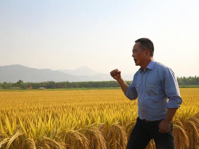 昔日种田今现离谱对决